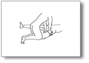 ancient-massage-houdingen-8-push